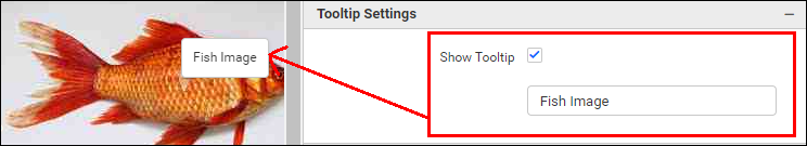 Showtooltip